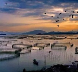 徐州伴游中国网景点丰富(旅游网介绍)