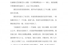 徐州旅游感想(张家界旅游感想)
