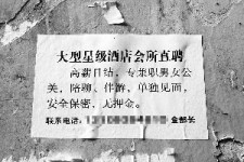 徐州珠海伴游雇用网(珠海游览社雇用信息)