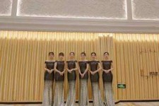 徐州杭州模特礼节兼职群(杭州兼职商务模特经纪人微信)