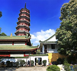 徐州广州自由行(广州 自由行)
