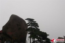 徐州上海伴游私家陪游雇用女模(上海伴游私家陪游雇用女模特)