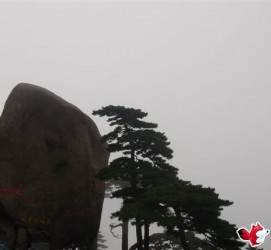 徐州上海伴游私家陪游雇用女模(上海伴游私家陪游雇用女模特)