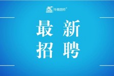 徐州镇江伴游雇用驾驶员(镇江驾驶员雇用苍生网)