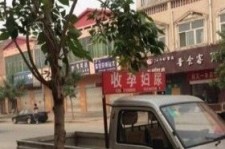 徐州上海伴游 用伴游造句大全(5
