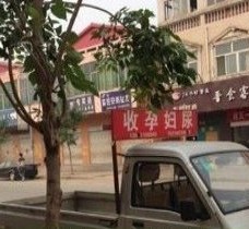 徐州上海伴游 用伴游造句大全(5