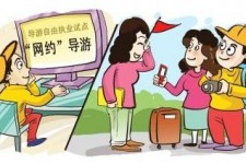 徐州伴游是什么
