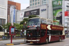 徐州上海私人伴游 上海过年怎么玩？这些“微游”线路了解下→