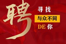 徐州商务伴游招聘 重庆星级酒店诚招司机服务员夜场保安