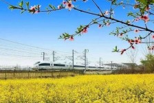 徐州高铁游(高铁游戏下载手机版)