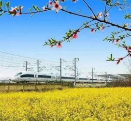 徐州高铁游(高铁游戏下载手机版)