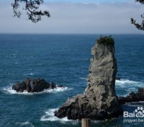 徐州旅游全攻略(上海旅游全攻略)