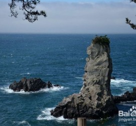 徐州旅游全攻略(上海旅游全攻略)