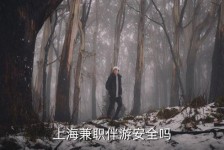 徐州上海私人伴游 上海伴游，上海兼职伴游安全吗