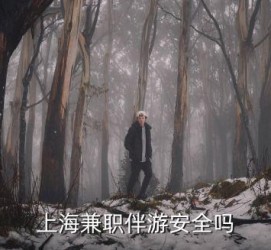 徐州上海私人伴游 上海伴游，上海兼职伴游安全吗