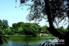 徐州西湖旅游攻略(上海到杭州西湖旅游攻略)