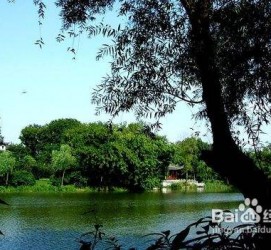 徐州西湖旅游攻略(上海到杭州西湖旅游攻略)