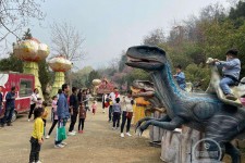 徐州中国伴游带你打卡网红南山竹海(南山竹海网上预约)