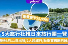 徐州旅游价格(旅游价格机制)
