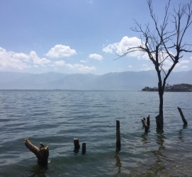 徐州洱海旅游攻略(洱海旅游攻略自由行)