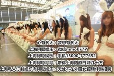 徐州雇用旅游男伴游(北京商务酒店雇用伴游)