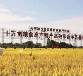 徐州关于成都商务伴游外围雇用的信息