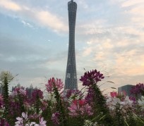 徐州广州旅游攻略(杭州到广州旅游攻略)