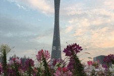 徐州广州旅游攻略(杭州到广州旅游攻略)