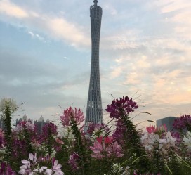 徐州广州旅游攻略(杭州到广州旅游攻略)