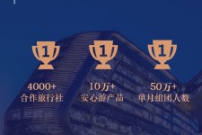 徐州上海私人伴游 ​ “小而美”的新时代：2020年国内新跟团消费报告