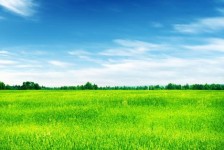 徐州上海伴游 上海模特伴游微信号的交友宣言