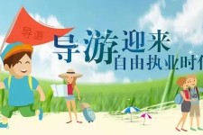徐州私人伴游 “网约导游”到底是正流行 还是不热闹