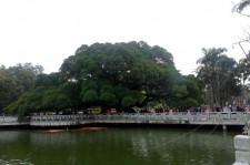 徐州福州旅游攻略(福州旅游攻略二日游)