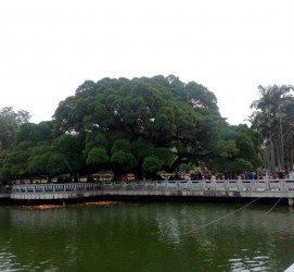 徐州福州旅游攻略(福州旅游攻略二日游)