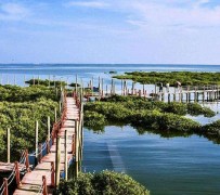 徐州旅游哪里好玩(云南旅游哪里好玩)