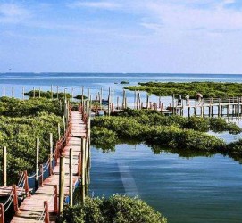 徐州旅游哪里好玩(云南旅游哪里好玩)