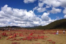 徐州旅游去处(暑期最好的旅游去处)