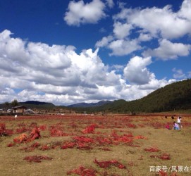 徐州旅游去处(暑期最好的旅游去处)