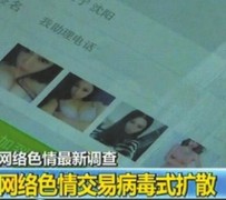 徐州上海伴游 伴游女郎白天陪玩晚上陪睡 网络跑火日薪过万(图)