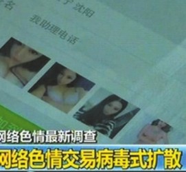 徐州上海伴游 伴游女郎白天陪玩晚上陪睡 网络跑火日薪过万(图)