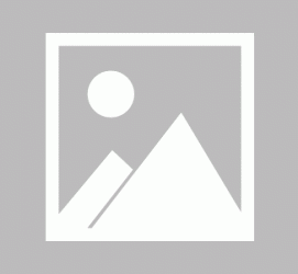 徐州私人伴游 黄金周里动“黄”经 天津又现“私人陪游”逆流